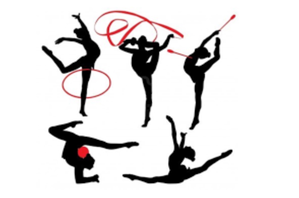 международная федерация спортивной гимнастики. спортивная гимнастика спб. девочки гимнастки. художественная гимнастика премиум. демьяна бедного 9 спб художественная гимнастика.